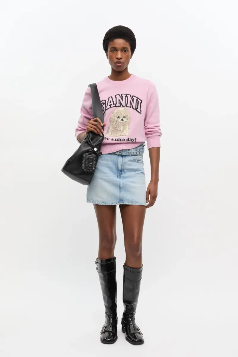 Pink Poodle Jumper